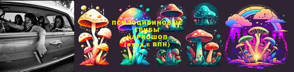 PSILOCYBIN Богородицк